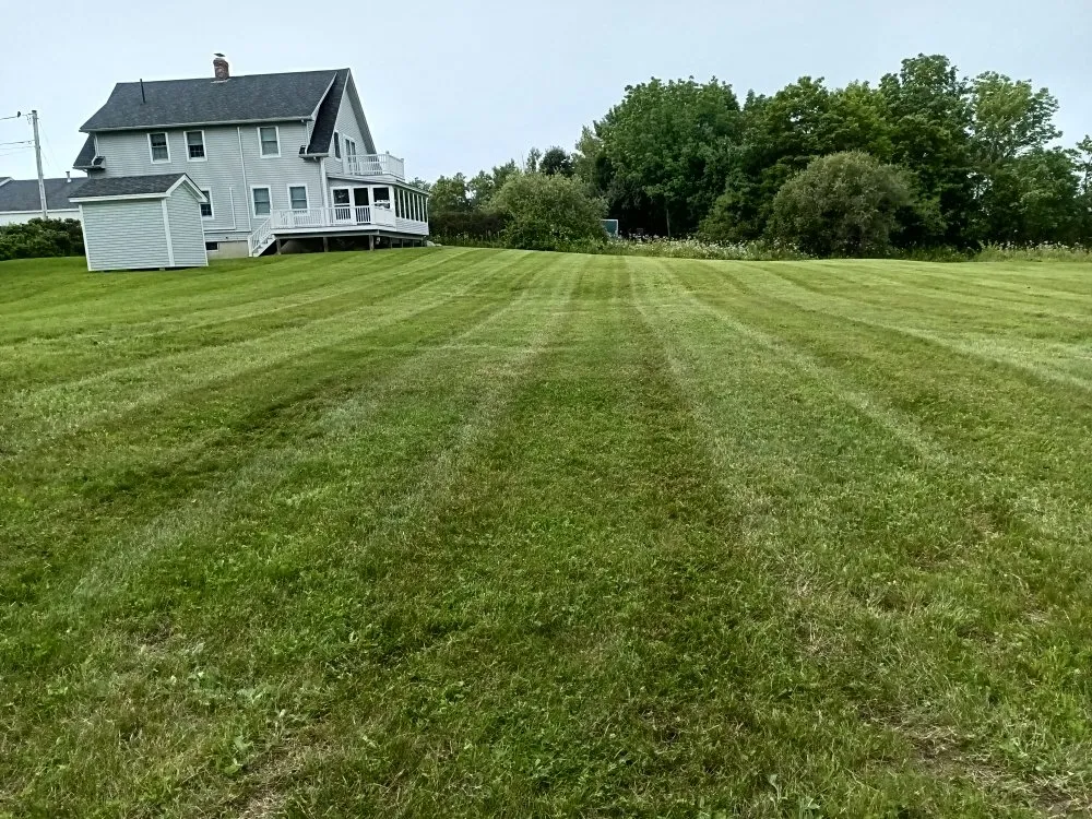 Reliable yard cleanup service for outdoor upgrades in Gouldsboro, ME by West Bay Lawn Care