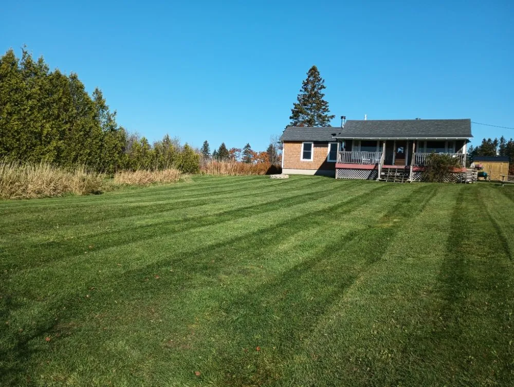 Affordable yard cleanup service in Gouldsboro, ME by West Bay Lawn Care