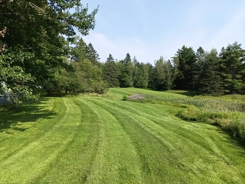 Top-rated landscaping services with custom design across Gouldsboro, ME - West Bay Lawn Care