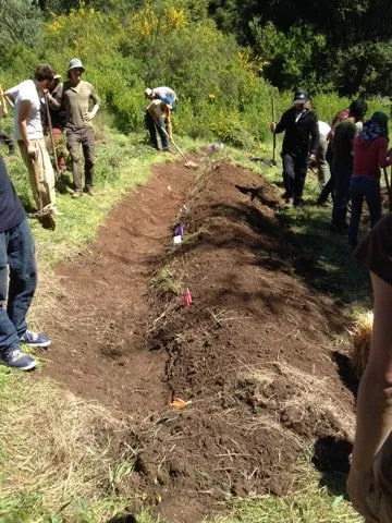 Custom lawn care service for beautiful yards across Sebastopol, CA - West Bear Landscapes