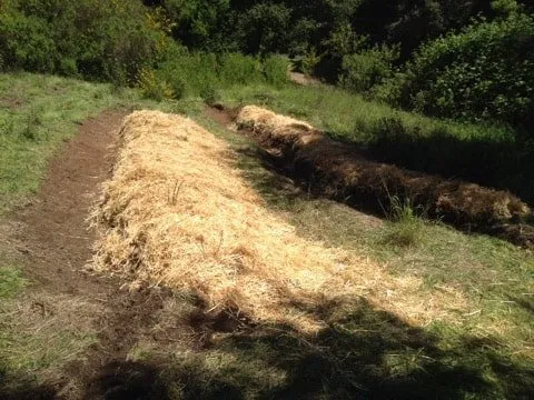 Expert residential landscaping for outdoor upgrades in Sebastopol, CA by West Bear Landscapes