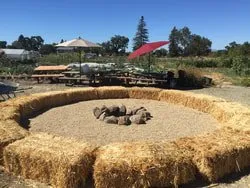 Professional lawn mowing service in Sebastopol, CA by West Bear Landscapes