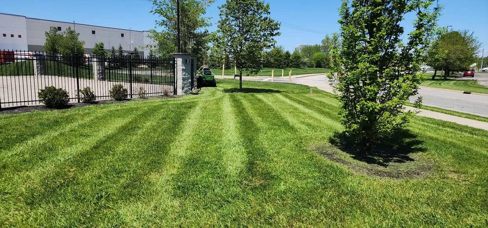 Reliable yard cleanup service in Crawfordsville, IN by West Central Lawncare & Landscaping