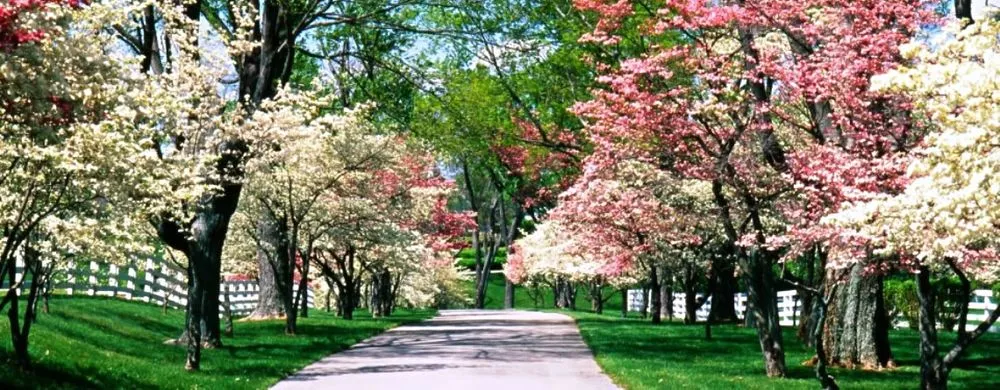 Professional landscaping services for beautiful yards across Liberty Township, OH - West Chester Lawn Care