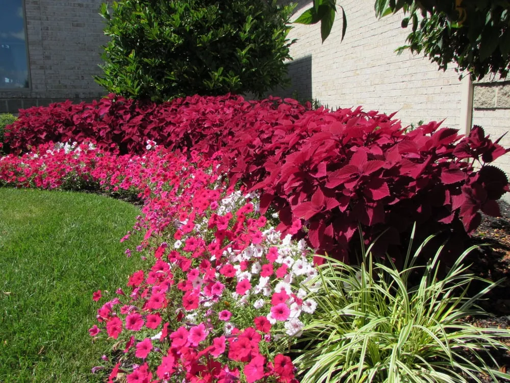 Top-rated residential landscaping for residential properties across Liberty Township, OH - West Chester Lawn Care