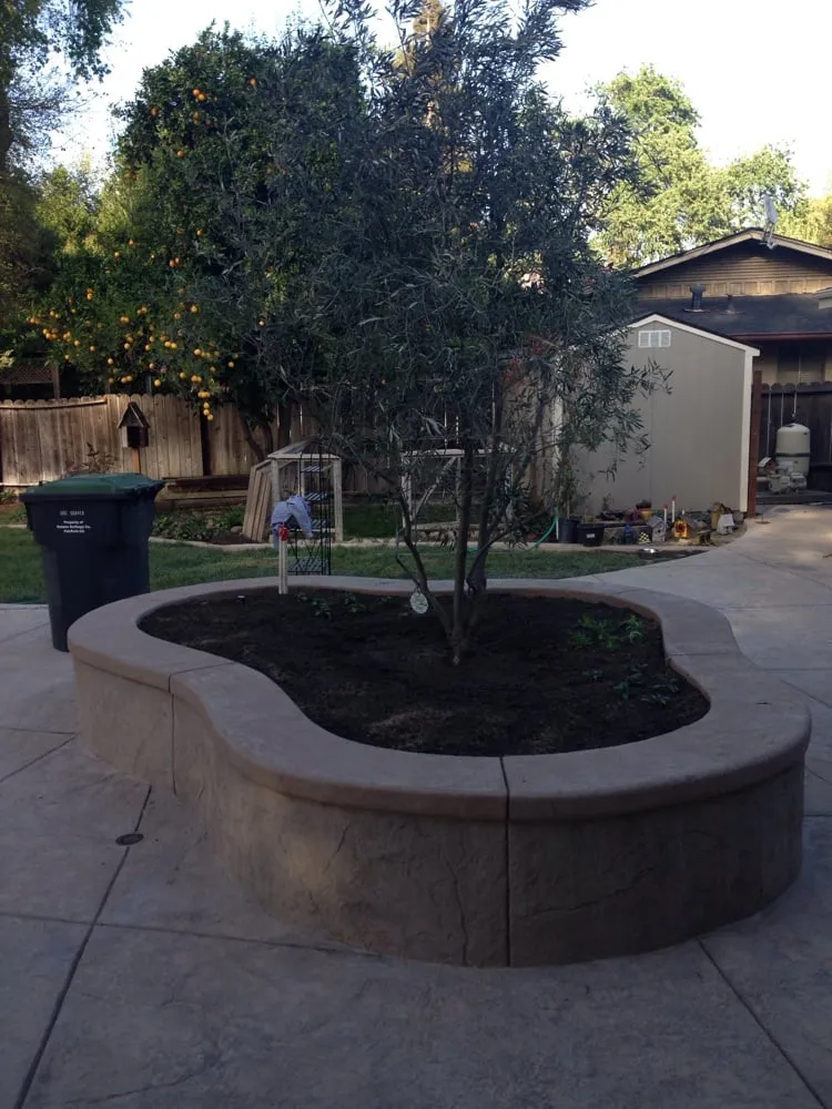Affordable outdoor landscaping in Vacaville, CA by West Coast Concrete Landscape & Pools