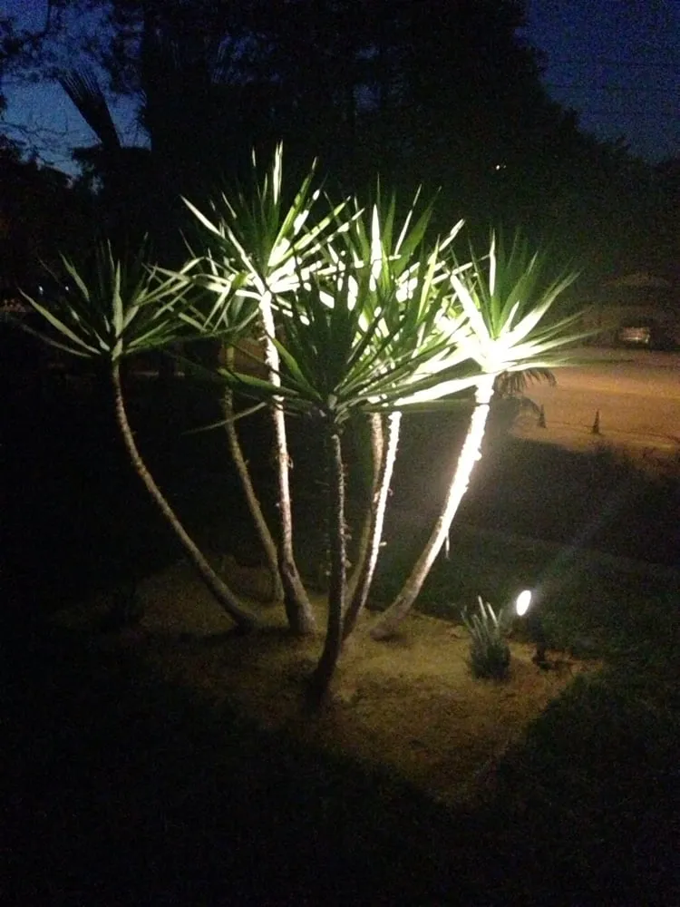 Affordable garden landscaping in Vacaville, CA - West Coast Concrete Landscape & Pools