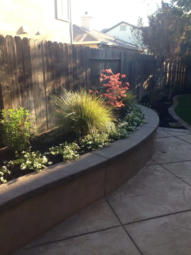Local yard cleanup service in Vacaville, CA - West Coast Concrete Landscape & Pools
