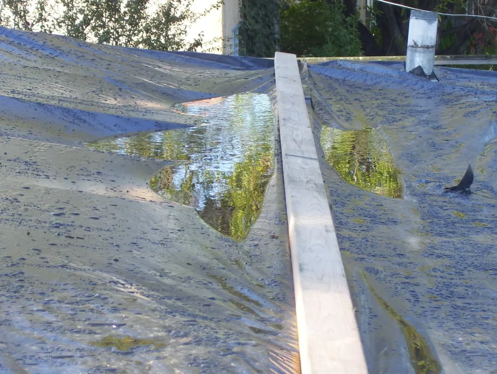 Professional residential landscaping in Santa Margarita, CA - West Coast Construction and Clean Ups