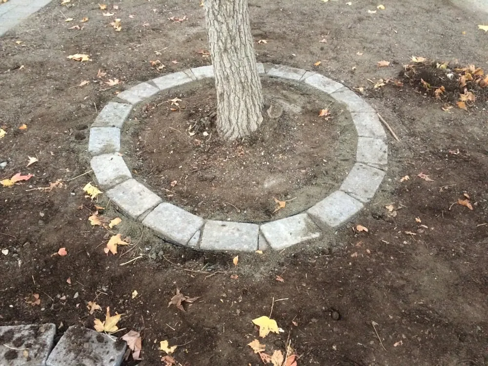 Custom garden landscaping for homes across Santa Margarita, CA - West Coast Construction and Clean Ups