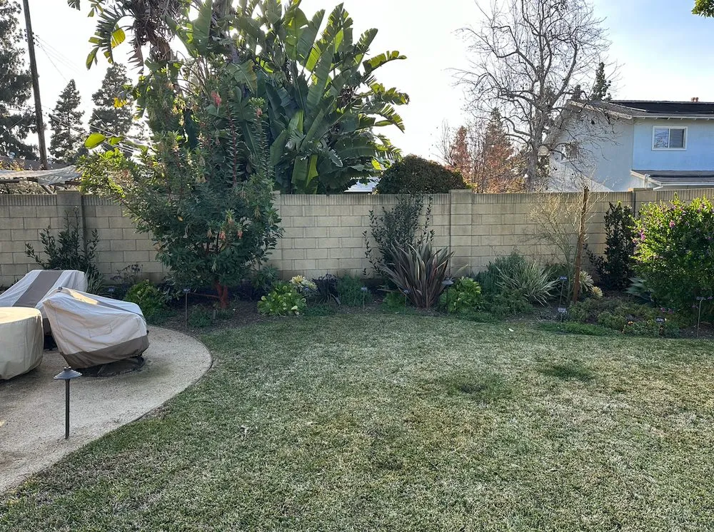 Custom lawn care service experts serving Cypress, CA - West Coast Creations