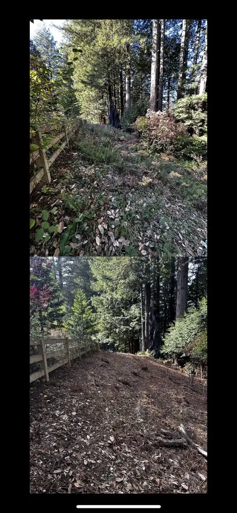 Local garden landscaping for year-round maintenance in Half Moon Bay, CA by West Coast Grazing