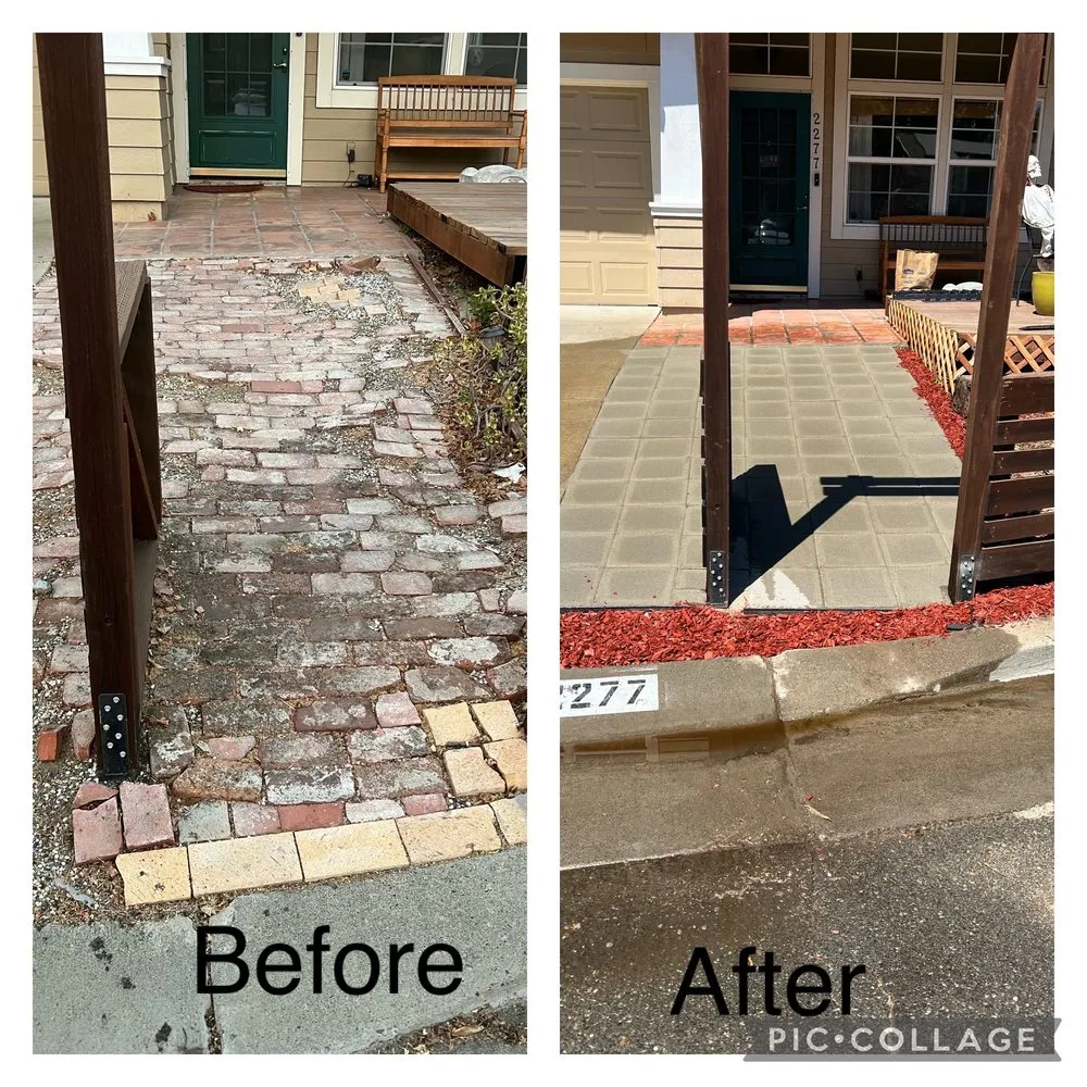 Trusted yard maintenance experts serving Sacramento, CA - West Coast Hauling & Junk Removal