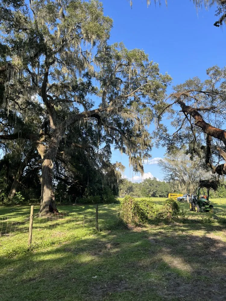 Professional garden landscaping in Trenton, FL by West Coast Land and Timber