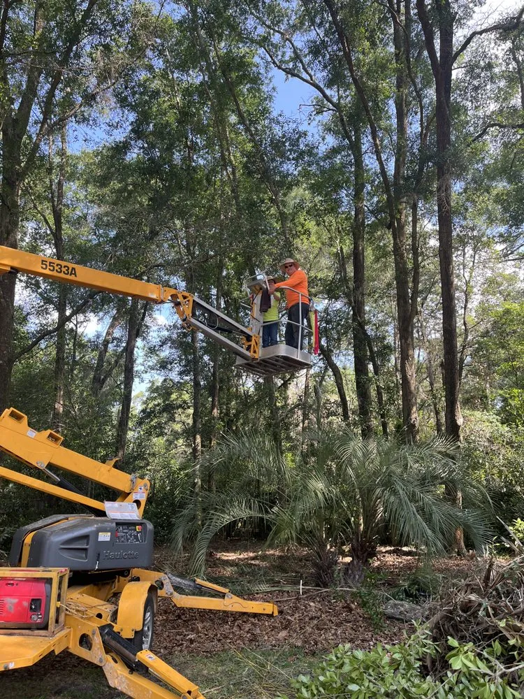 Affordable residential landscaping for residential properties across Trenton, FL - West Coast Land and Timber