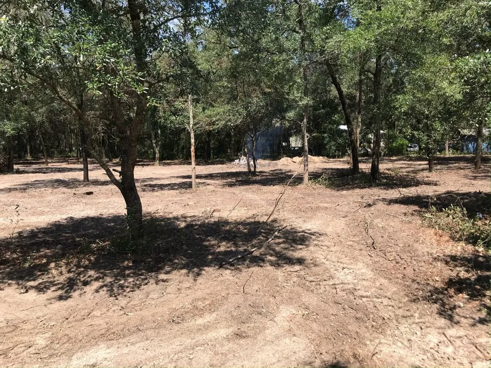 Local landscaping services experts serving Trenton, FL - West Coast Land and Timber