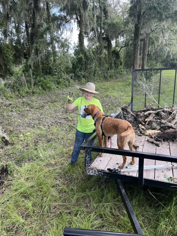 Trusted yard cleanup service for homes across Trenton, FL - West Coast Land and Timber