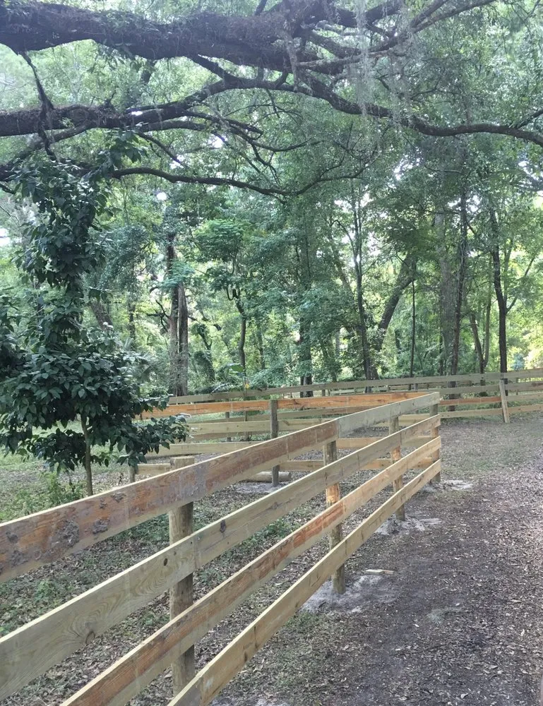 Top-rated yard maintenance for residential properties across Trenton, FL - West Coast Land and Timber