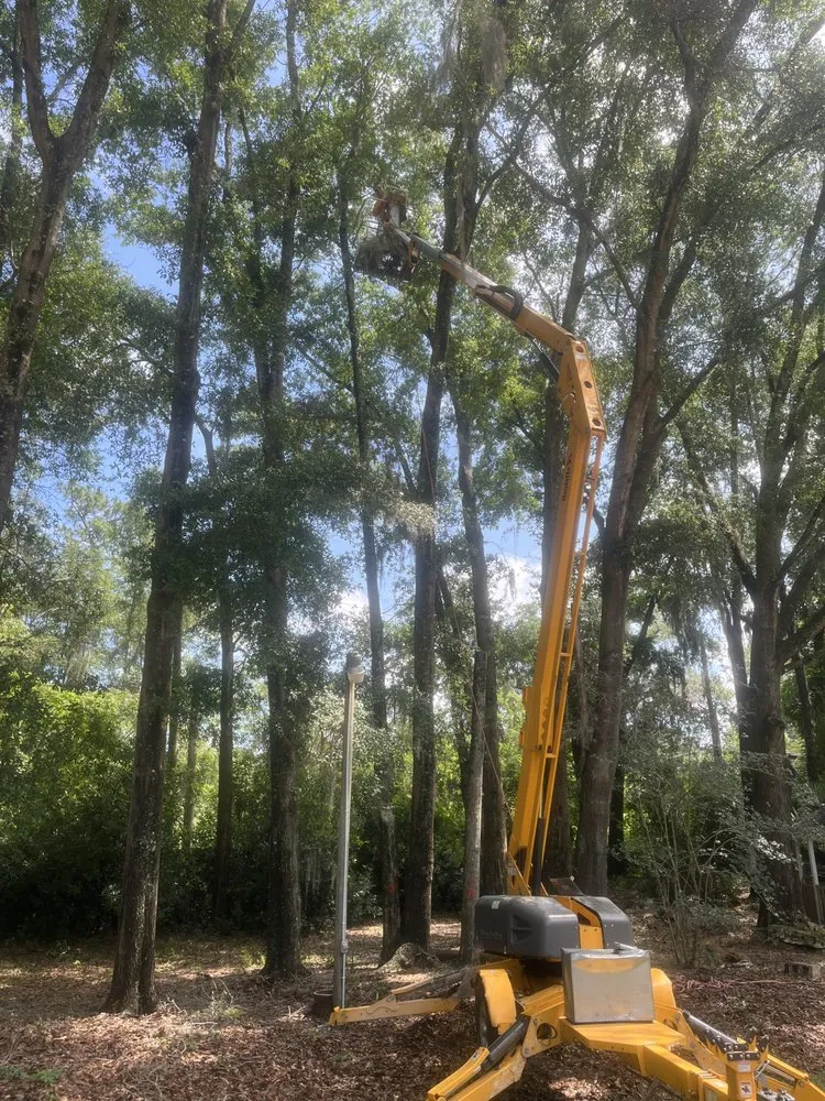 Top-rated lawn mowing service with custom design in Trenton, FL by West Coast Land and Timber