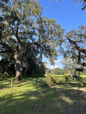 West Coast Land and Timber