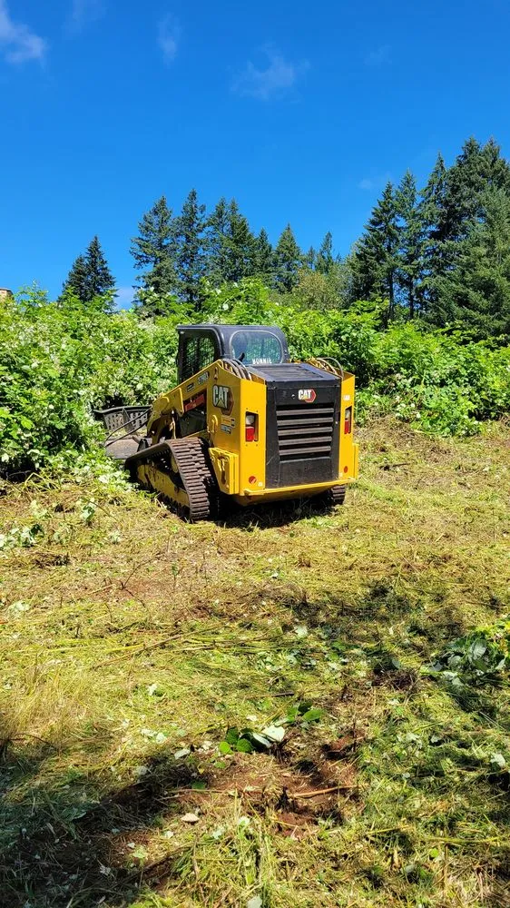 Local yard maintenance for outdoor upgrades across Dayton, OR - West Coast Land Renewal