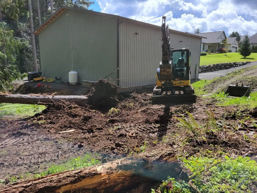 Professional yard maintenance in Dayton, OR by West Coast Land Renewal