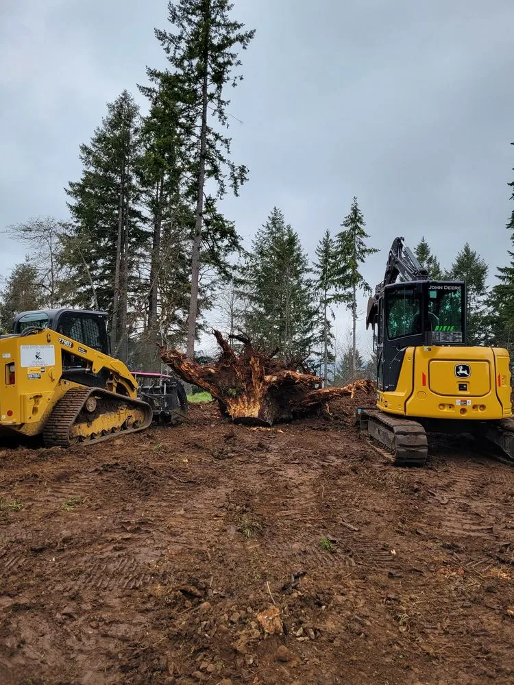 Trusted landscape design for year-round maintenance across Dayton, OR - West Coast Land Renewal