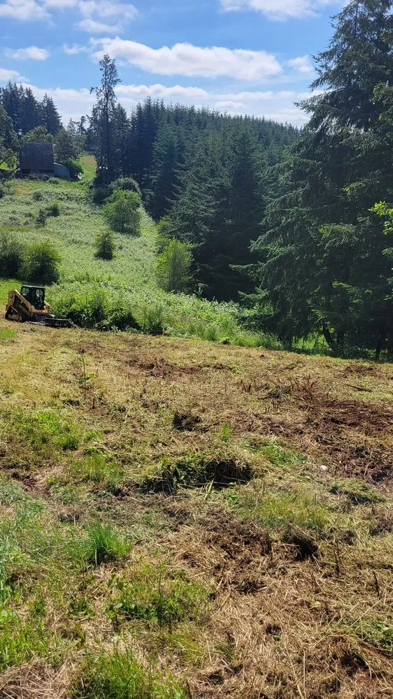 Professional residential landscaping for homes across Dayton, OR - West Coast Land Renewal