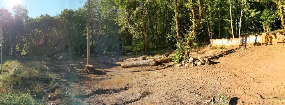 Professional outdoor landscaping in Dayton, OR - West Coast Land Renewal