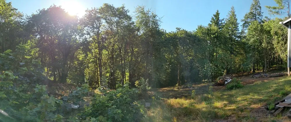 Reliable yard maintenance for beautiful yards in Dayton, OR by West Coast Land Renewal