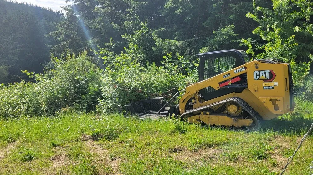 Professional lawn care service for homes across Dayton, OR - West Coast Land Renewal