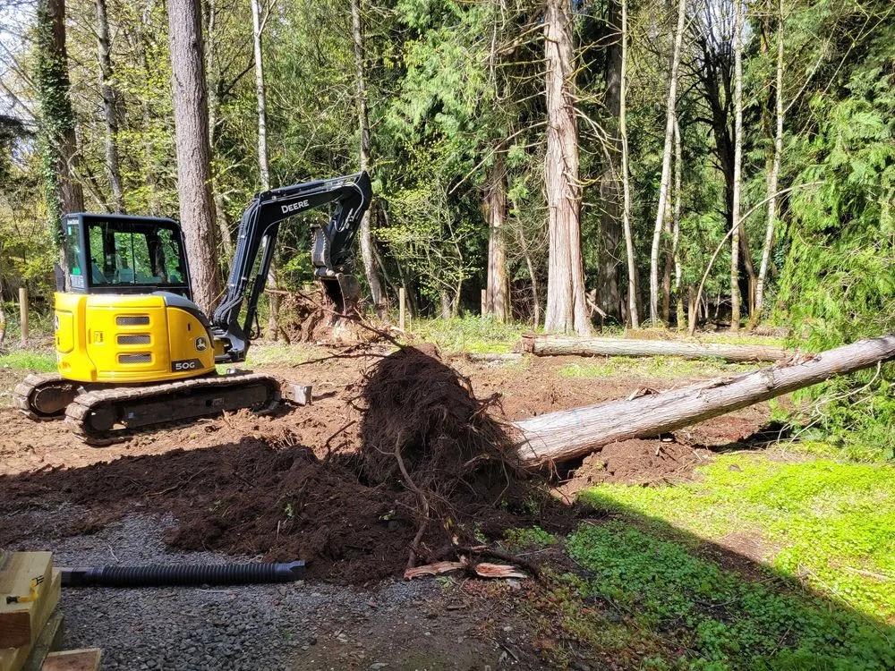 Professional lawn care service for residential properties in Dayton, OR by West Coast Land Renewal
