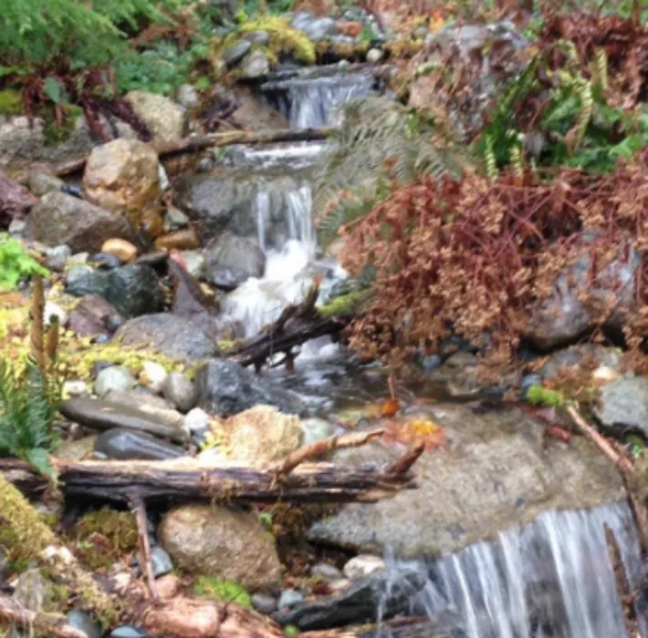 Affordable outdoor landscaping in Ferndale, WA - West Coast Landscape & Hardscape