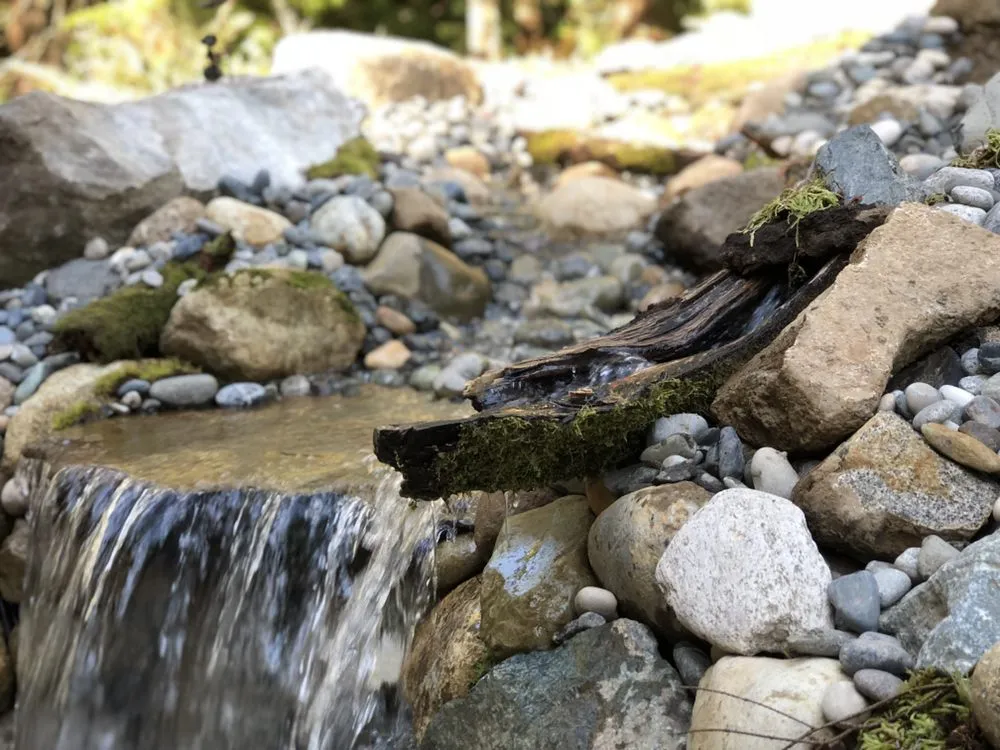 Affordable landscaping services in Ferndale, WA - West Coast Landscape & Hardscape