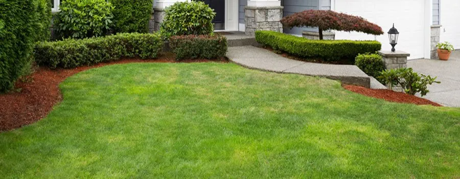 Reliable landscape installation in Pasadena, CA - West Coast Landscape & Hardscape