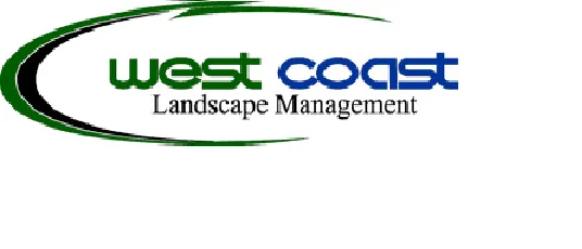 Local yard cleanup service for year-round maintenance in National City, CA by West Coast Landscape Management