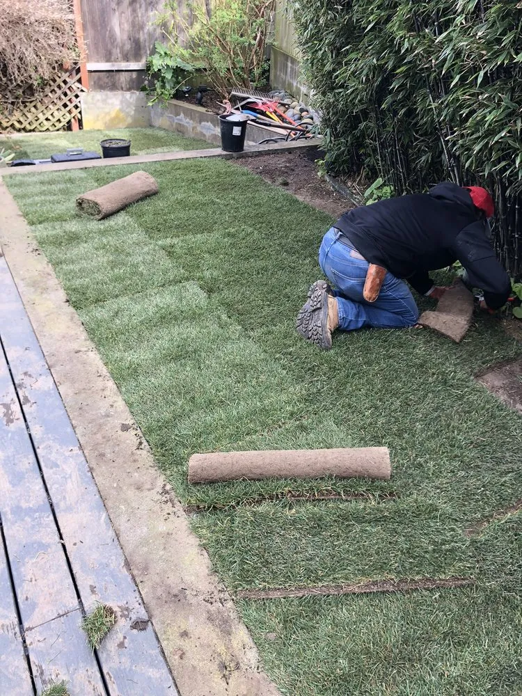 Reliable landscape design experts serving Santa Rosa, CA - West Coast Landscapes