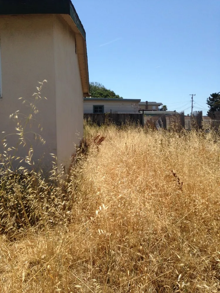 Top-rated landscape installation in Monterey, CA by West Coast Landscaping