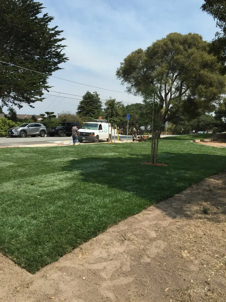 Top-rated landscaping services in Monterey, CA by West Coast Landscaping