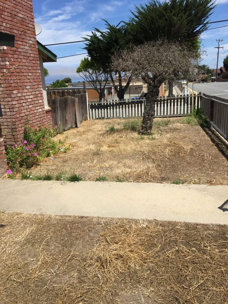 Professional landscaping services in Monterey, CA - West Coast Landscaping