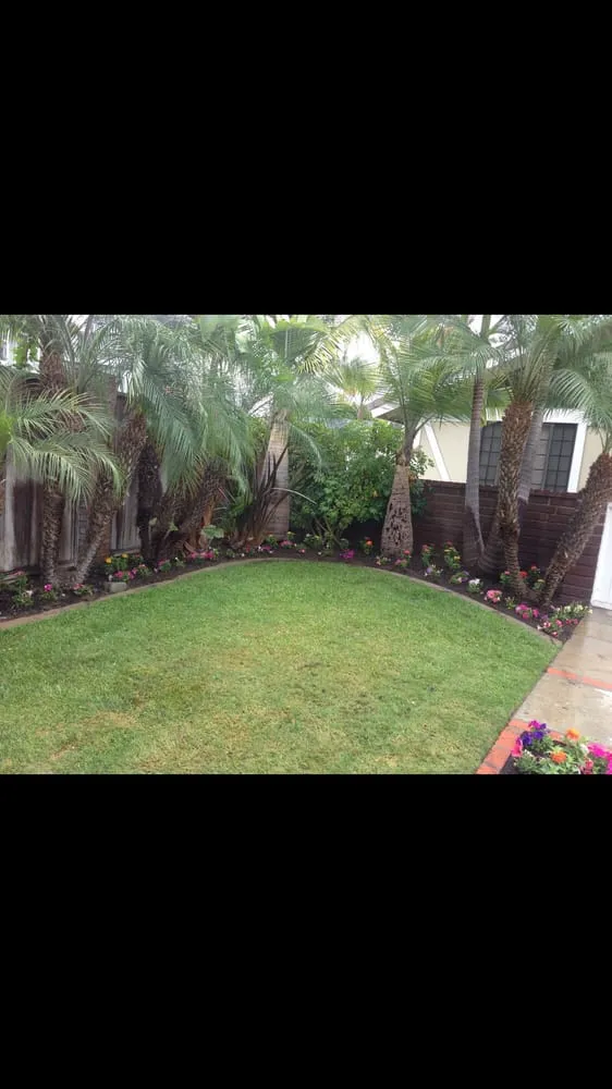 Top-rated yard cleanup service in Santa Ana, CA - West Coast Landscaping