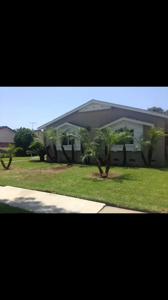 Custom landscape design for year-round maintenance in Santa Ana, CA by West Coast Landscaping