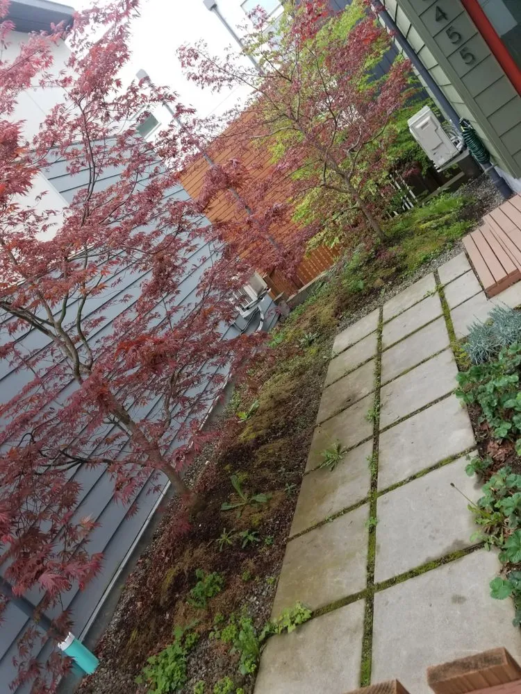 Top-rated residential landscaping in Everett, WA - West Coast Landscaping Services