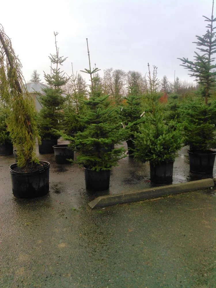 Trusted garden landscaping in Monroe, WA - West Coast Nursery
