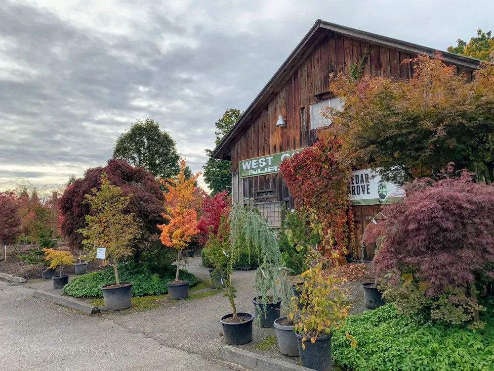 Local lawn care service for beautiful yards across Monroe, WA - West Coast Nursery