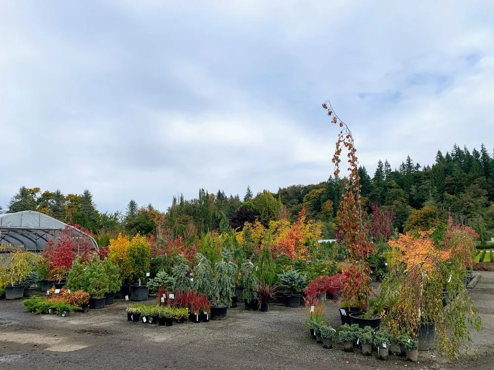 Custom garden landscaping in Monroe, WA - West Coast Nursery