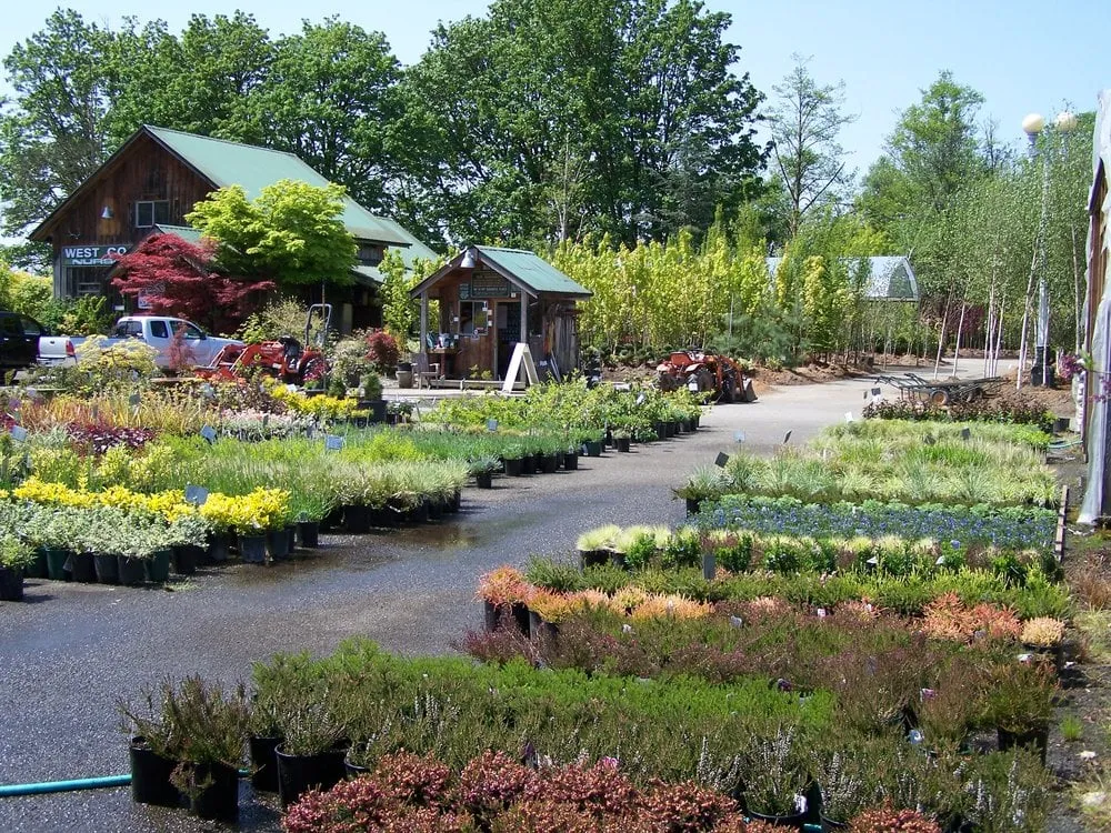 Expert outdoor landscaping experts serving Monroe, WA - West Coast Nursery