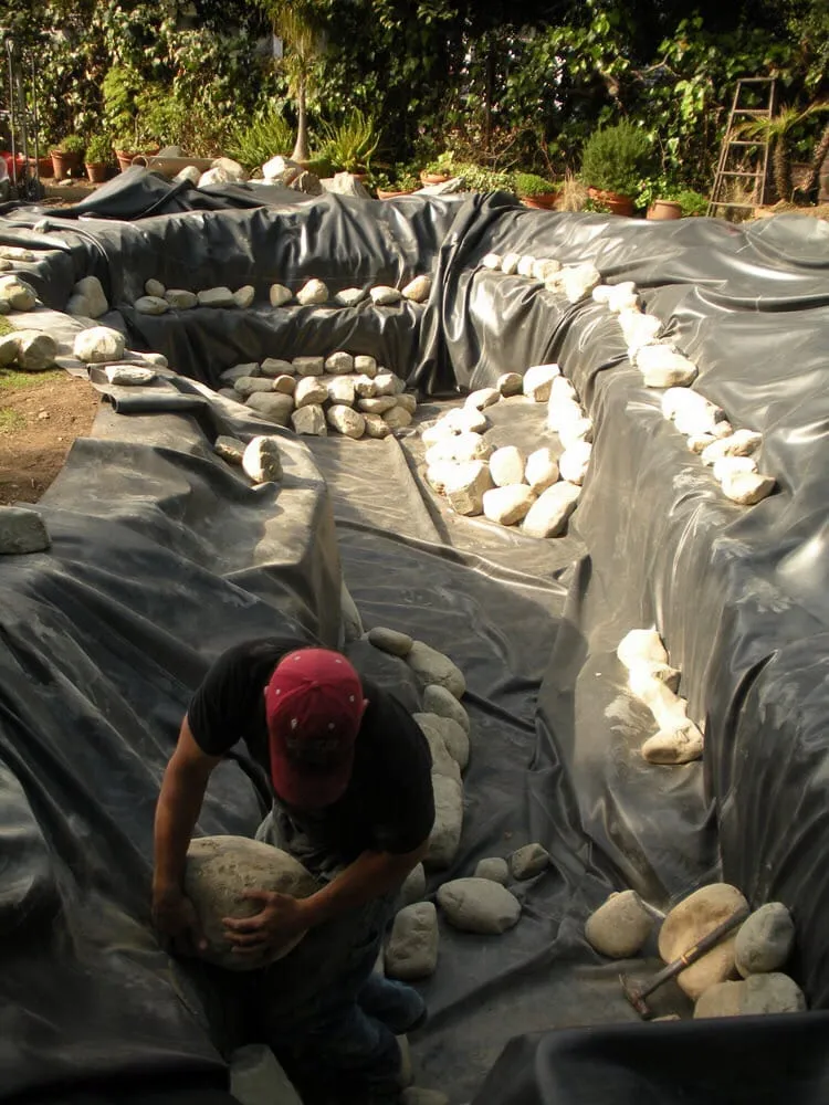 Professional yard cleanup service in Woodland Hills, CA - West Coast Pond