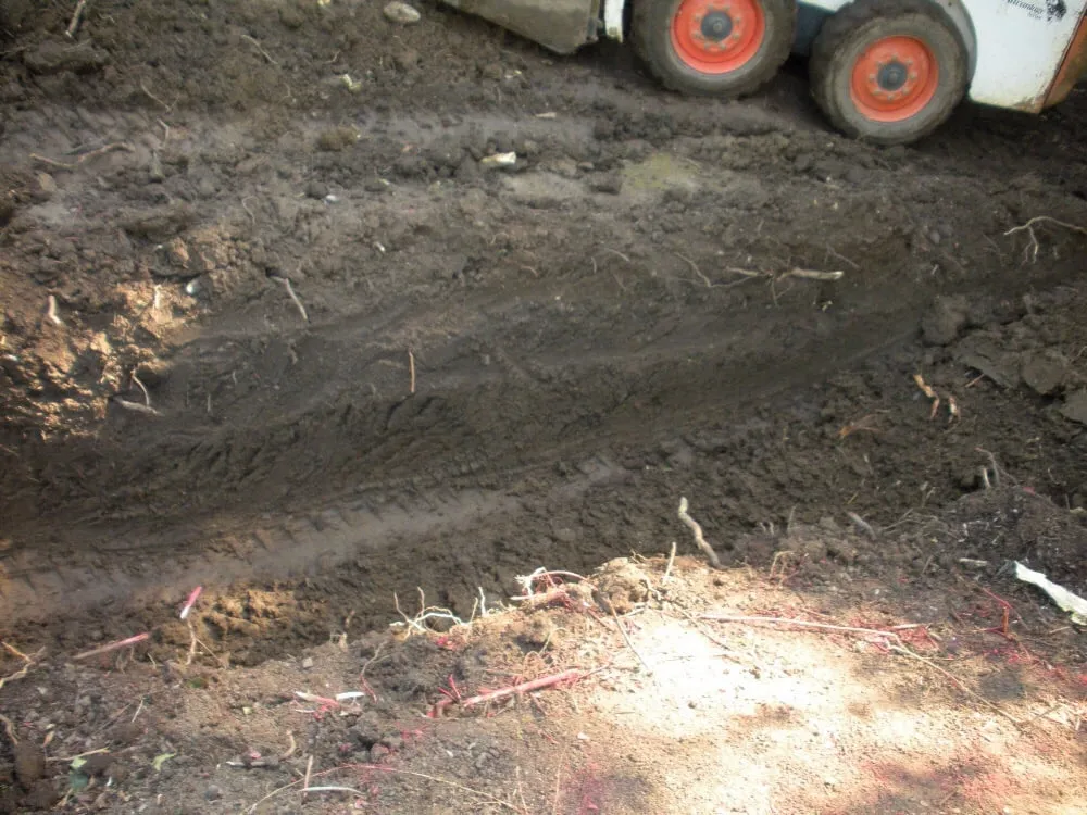 Reliable lawn care service in Woodland Hills, CA - West Coast Pond