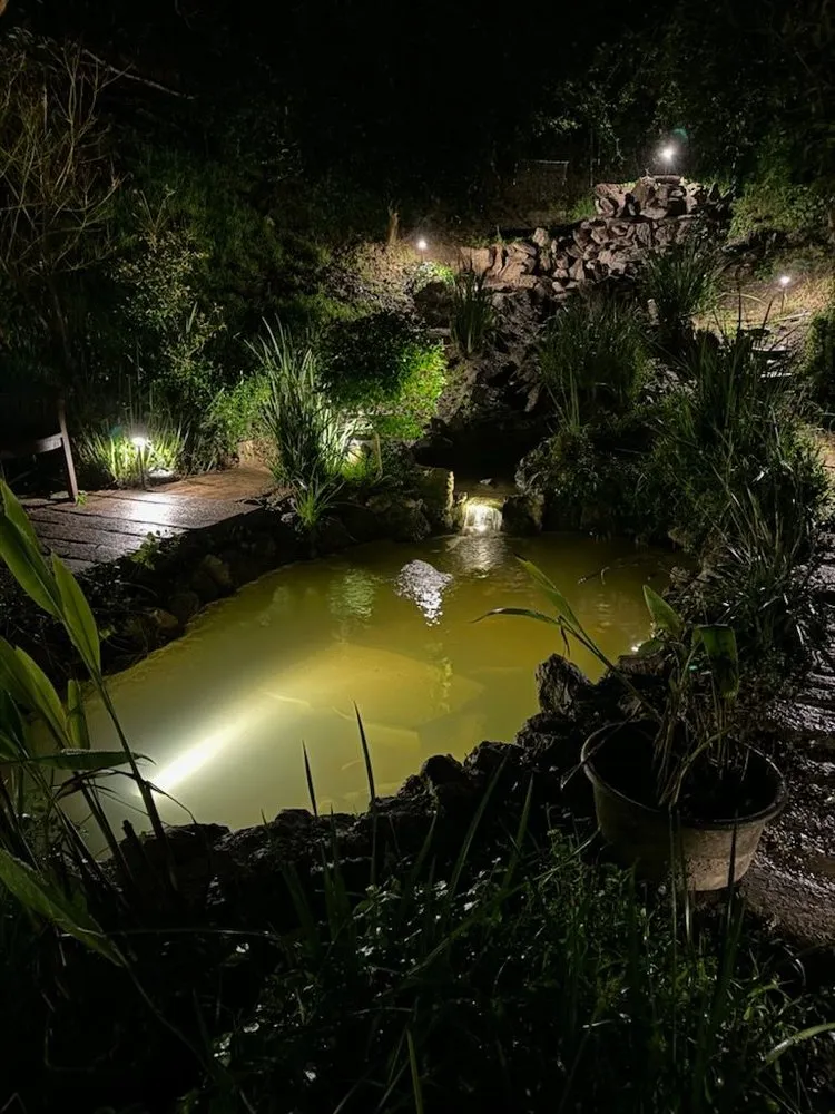 Reliable lawn mowing service experts serving Woodland Hills, CA - West Coast Pond